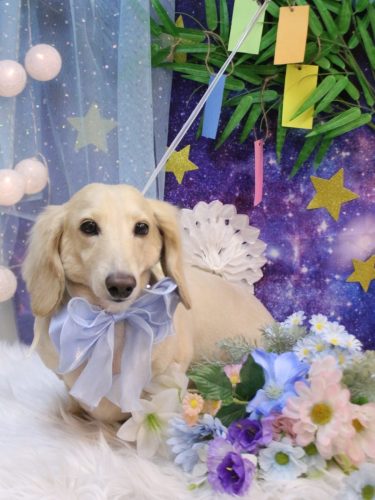 20250715シオンくん